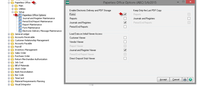 Invoices thru Paperless Office - Options tab