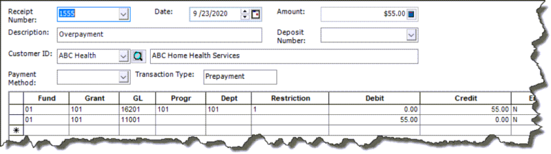 Screen Allowing To Enter Prepayment