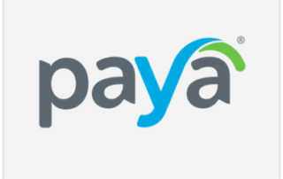 paya featured logo